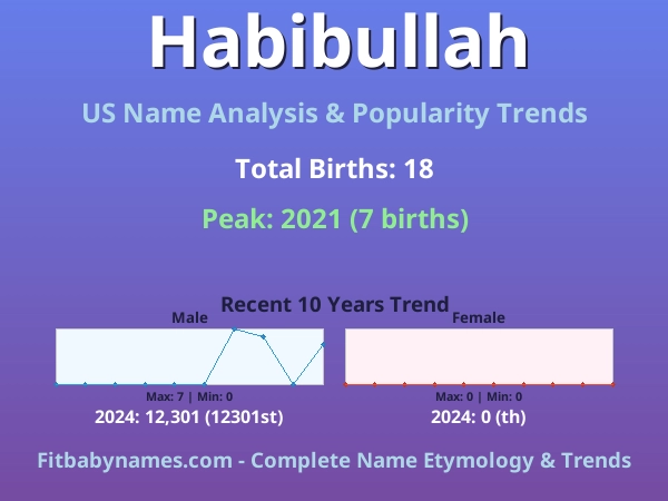 Infographic: Habibullah name meaning, origin, and popularity trends in the United States (US baby name analysis chart)
