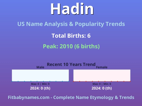 Infographic: Hadin name meaning, origin, and popularity trends in the United States (US baby name analysis chart)