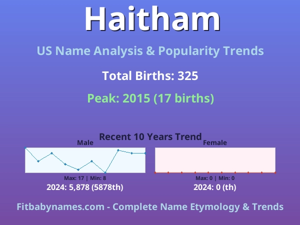 Infographic: Haitham name meaning, origin, and popularity trends in the United States (US baby name analysis chart)