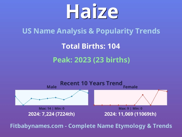 Infographic: Haize name meaning, origin, and popularity trends in the United States (US baby name analysis chart)
