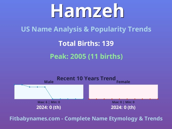 Infographic: Hamzeh name meaning, origin, and popularity trends in the United States (US baby name analysis chart)