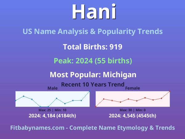 Infographic: Hani name meaning, origin, and popularity trends in the United States (US baby name analysis chart)