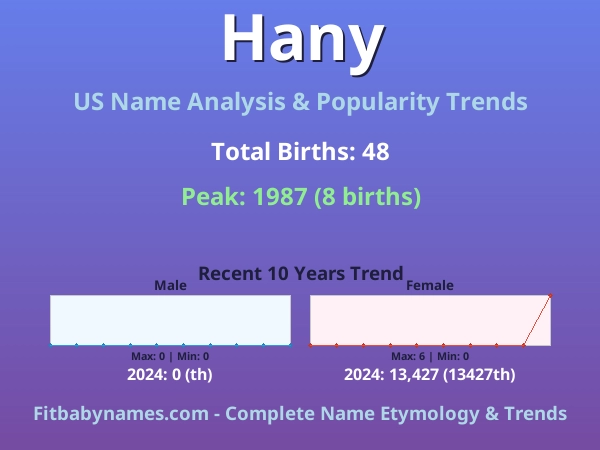 Infographic: Hany name meaning, origin, and popularity trends in the United States (US baby name analysis chart)