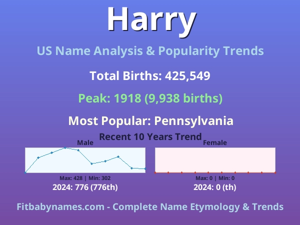 Infographic: Harry name meaning, origin, and popularity trends in the United States (US baby name analysis chart)