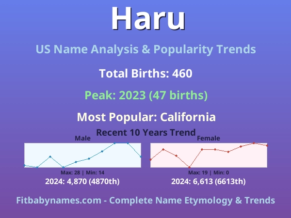 Infographic: Haru name meaning, origin, and popularity trends in the United States (US baby name analysis chart)