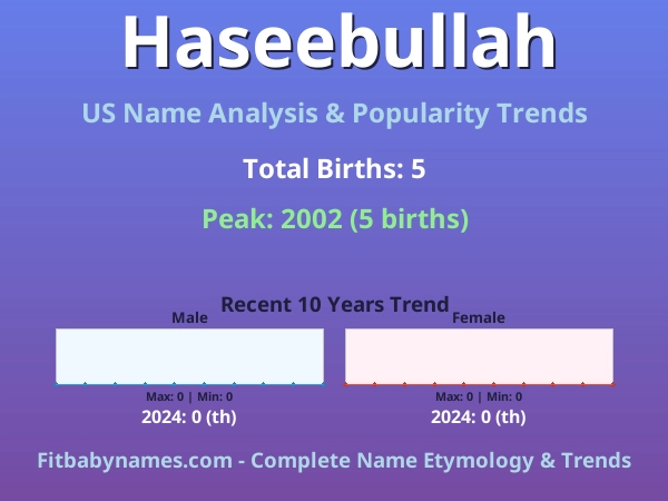 Infographic: Haseebullah name meaning, origin, and popularity trends in the United States (US baby name analysis chart)