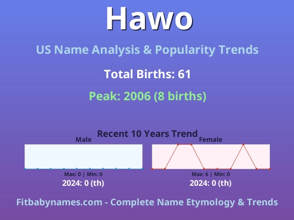 Infographic: Hawo name meaning, origin, and popularity trends in the United States (US baby name analysis chart)