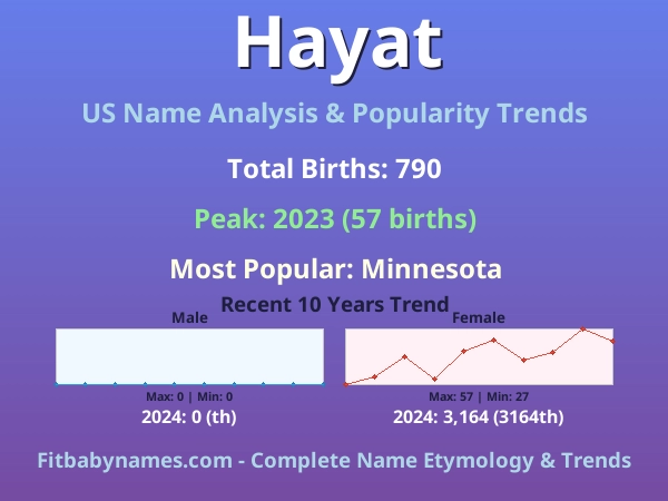 Infographic: Hayat name meaning, origin, and popularity trends in the United States (US baby name analysis chart)
