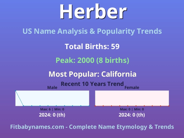 Infographic: Herber name meaning, origin, and popularity trends in the United States (US baby name analysis chart)