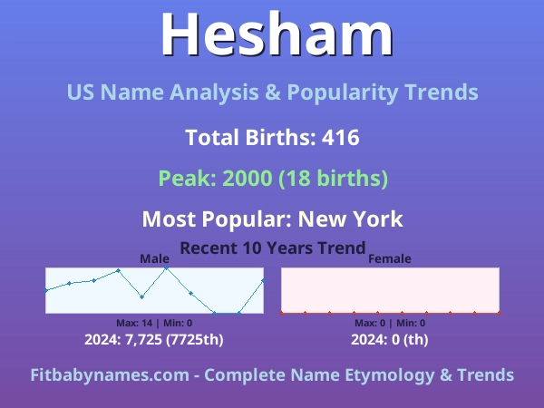 Infographic: Hesham name meaning, origin, and popularity trends in the United States (US baby name analysis chart)