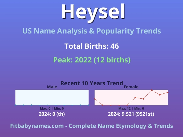 Infographic: Heysel name meaning, origin, and popularity trends in the United States (US baby name analysis chart)