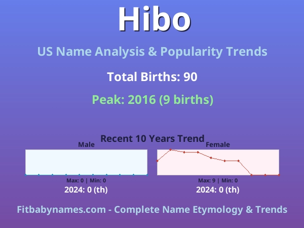Infographic: Hibo name meaning, origin, and popularity trends in the United States (US baby name analysis chart)