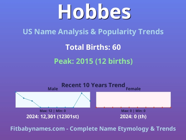 Infographic: Hobbes name meaning, origin, and popularity trends in the United States (US baby name analysis chart)