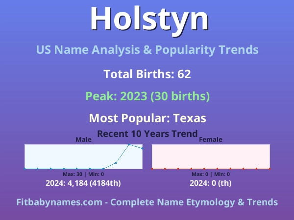 Infographic: Holstyn name meaning, origin, and popularity trends in the United States (US baby name analysis chart)