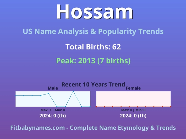 Infographic: Hossam name meaning, origin, and popularity trends in the United States (US baby name analysis chart)