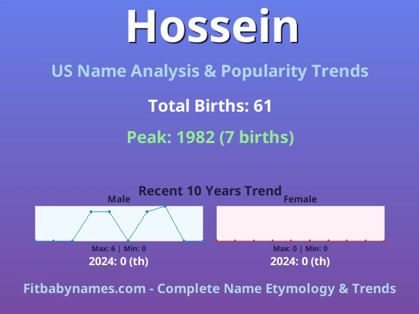 Infographic: Hossein name meaning, origin, and popularity trends in the United States (US baby name analysis chart)