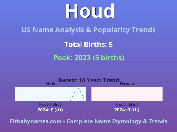 Infographic: Houd name meaning, origin, and popularity trends in the United States (US baby name analysis chart)