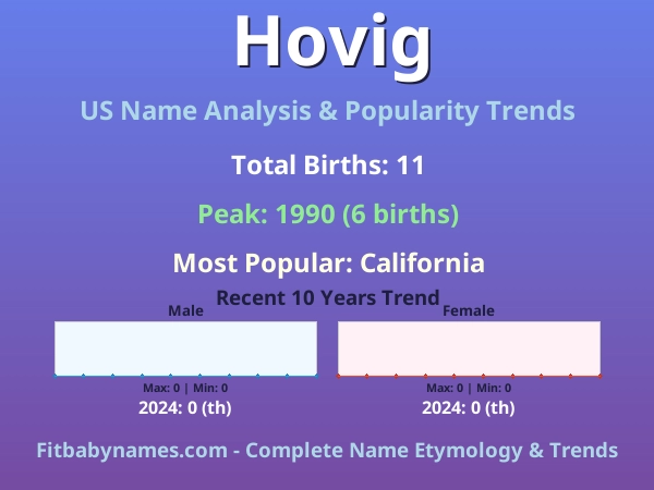 Infographic: Hovig name meaning, origin, and popularity trends in the United States (US baby name analysis chart)