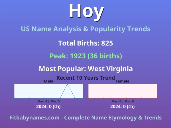 Infographic: Hoy name meaning, origin, and popularity trends in the United States (US baby name analysis chart)