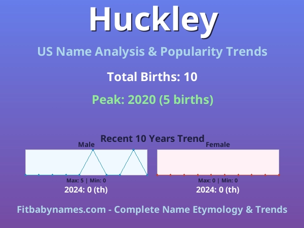 Infographic: Huckley name meaning, origin, and popularity trends in the United States (US baby name analysis chart)