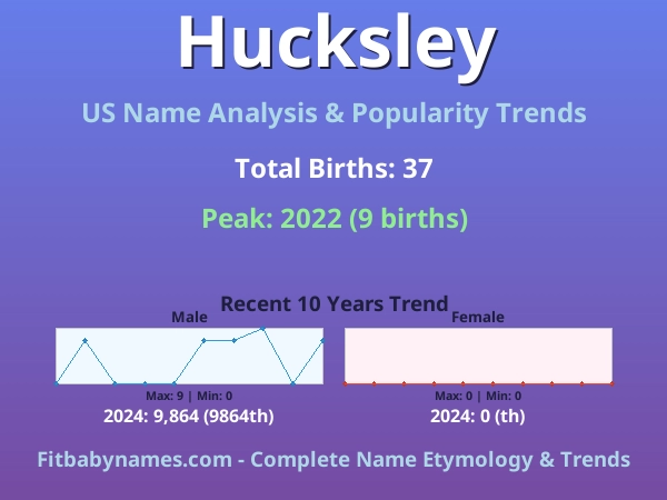 Infographic: Hucksley name meaning, origin, and popularity trends in the United States (US baby name analysis chart)