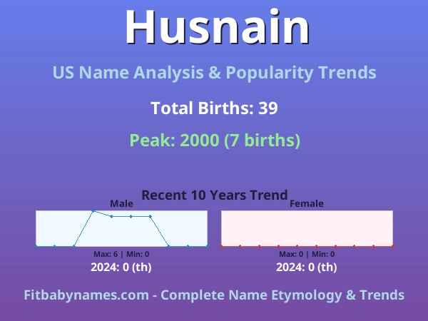 Infographic: Husnain name meaning, origin, and popularity trends in the United States (US baby name analysis chart)