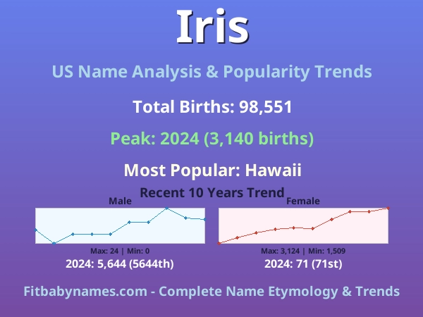 Infographic: Iris name meaning, origin, and popularity trends in the United States (US baby name analysis chart)