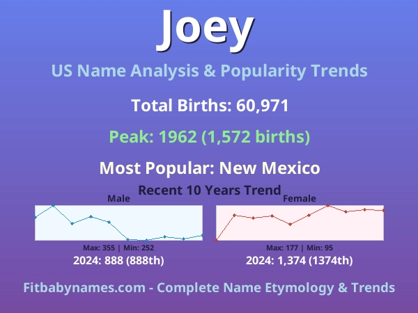 Infographic: Joey name meaning, origin, and popularity trends in the United States (US baby name analysis chart)