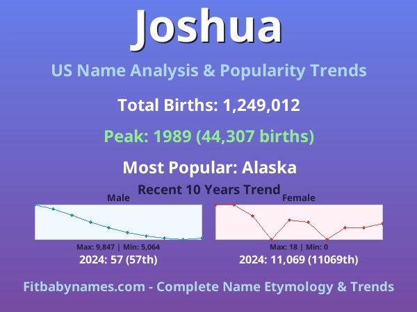 Infographic: Joshua name meaning, origin, and popularity trends in the United States (US baby name analysis chart)