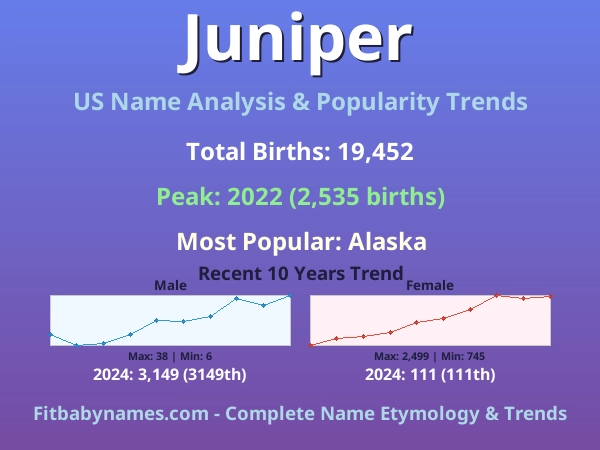 Infographic: Juniper name meaning, origin, and popularity trends in the United States (US baby name analysis chart)