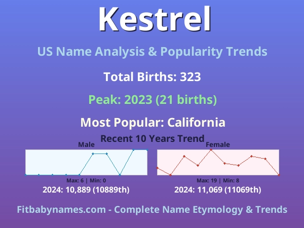 Infographic: Kestrel name meaning, origin, and popularity trends in the United States (US baby name analysis chart)