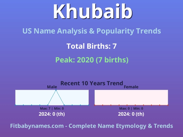 Infographic: Khubaib name meaning, origin, and popularity trends in the United States (US baby name analysis chart)