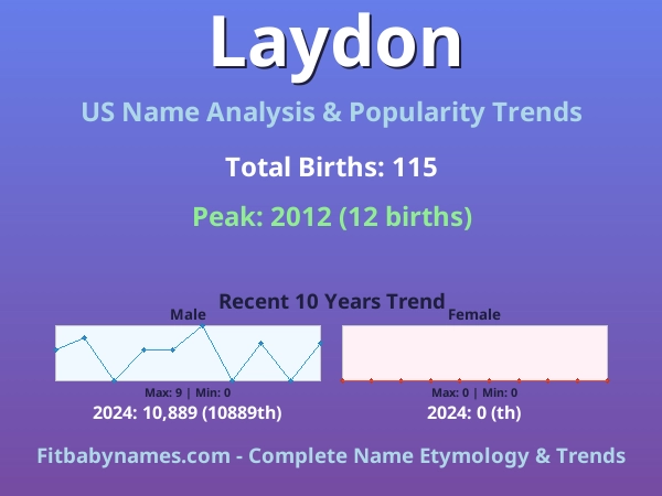 Infographic: Laydon name meaning, origin, and popularity trends in the United States (US baby name analysis chart)