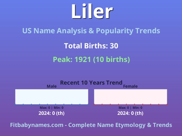 Infographic: Liler name meaning, origin, and popularity trends in the United States (US baby name analysis chart)