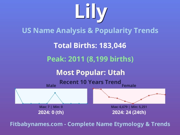 Infographic: Lily name meaning, origin, and popularity trends in the United States (US baby name analysis chart)
