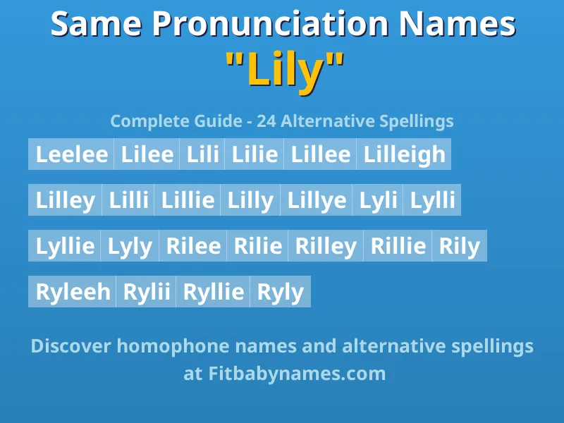 Infographic: Lily same pronunciation names, similar names, and homophone names