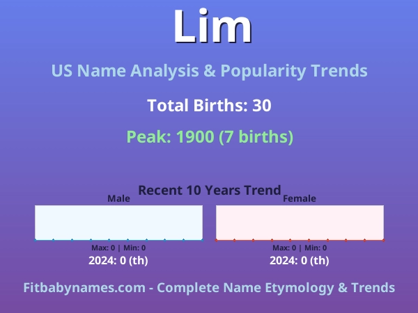 Infographic: Lim name meaning, origin, and popularity trends in the United States (US baby name analysis chart)