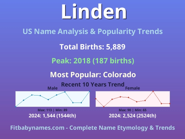 Infographic: Linden name meaning, origin, and popularity trends in the United States (US baby name analysis chart)