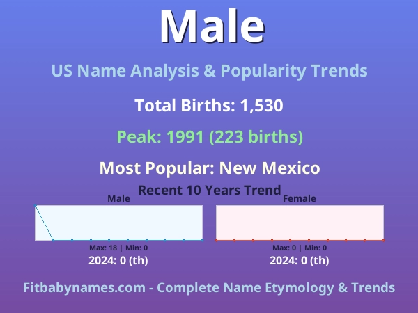 Infographic: Male name meaning, origin, and popularity trends in the United States (US baby name analysis chart)