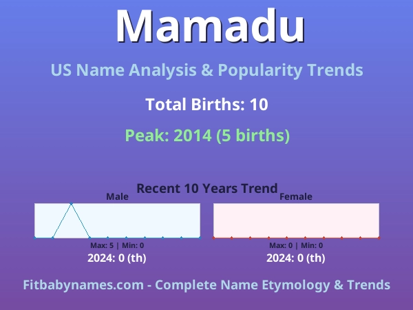 Infographic: Mamadu name meaning, origin, and popularity trends in the United States (US baby name analysis chart)