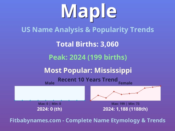 Infographic: Maple name meaning, origin, and popularity trends in the United States (US baby name analysis chart)