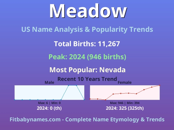 Infographic: Meadow name meaning, origin, and popularity trends in the United States (US baby name analysis chart)
