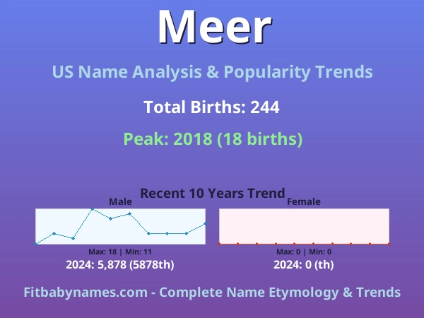 Infographic: Meer name meaning, origin, and popularity trends in the United States (US baby name analysis chart)