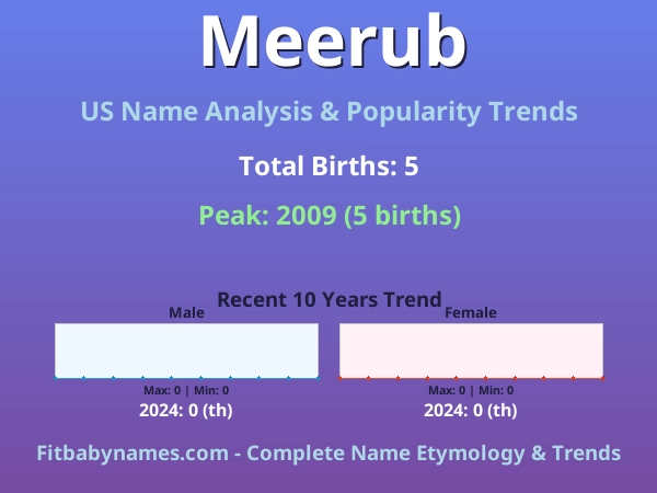 Infographic: Meerub name meaning, origin, and popularity trends in the United States (US baby name analysis chart)