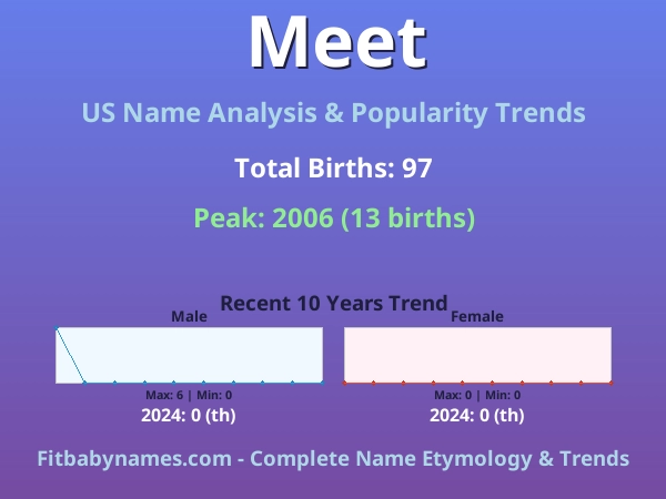 Infographic: Meet name meaning, origin, and popularity trends in the United States (US baby name analysis chart)