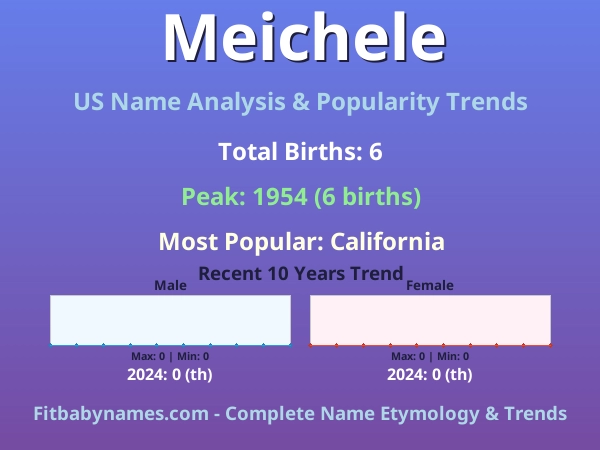 Infographic: Meichele name meaning, origin, and popularity trends in the United States (US baby name analysis chart)