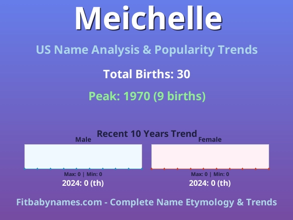 Infographic: Meichelle name meaning, origin, and popularity trends in the United States (US baby name analysis chart)