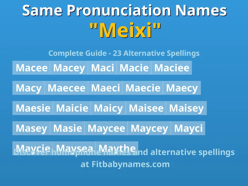 Infographic: Meixi same pronunciation names, similar names, and homophone names