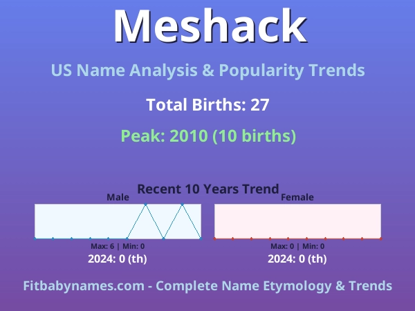 Infographic: Meshack name meaning, origin, and popularity trends in the United States (US baby name analysis chart)