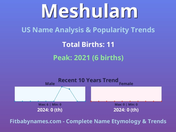 Infographic: Meshulam name meaning, origin, and popularity trends in the United States (US baby name analysis chart)